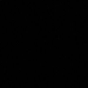 Meet your Posher, Fiona